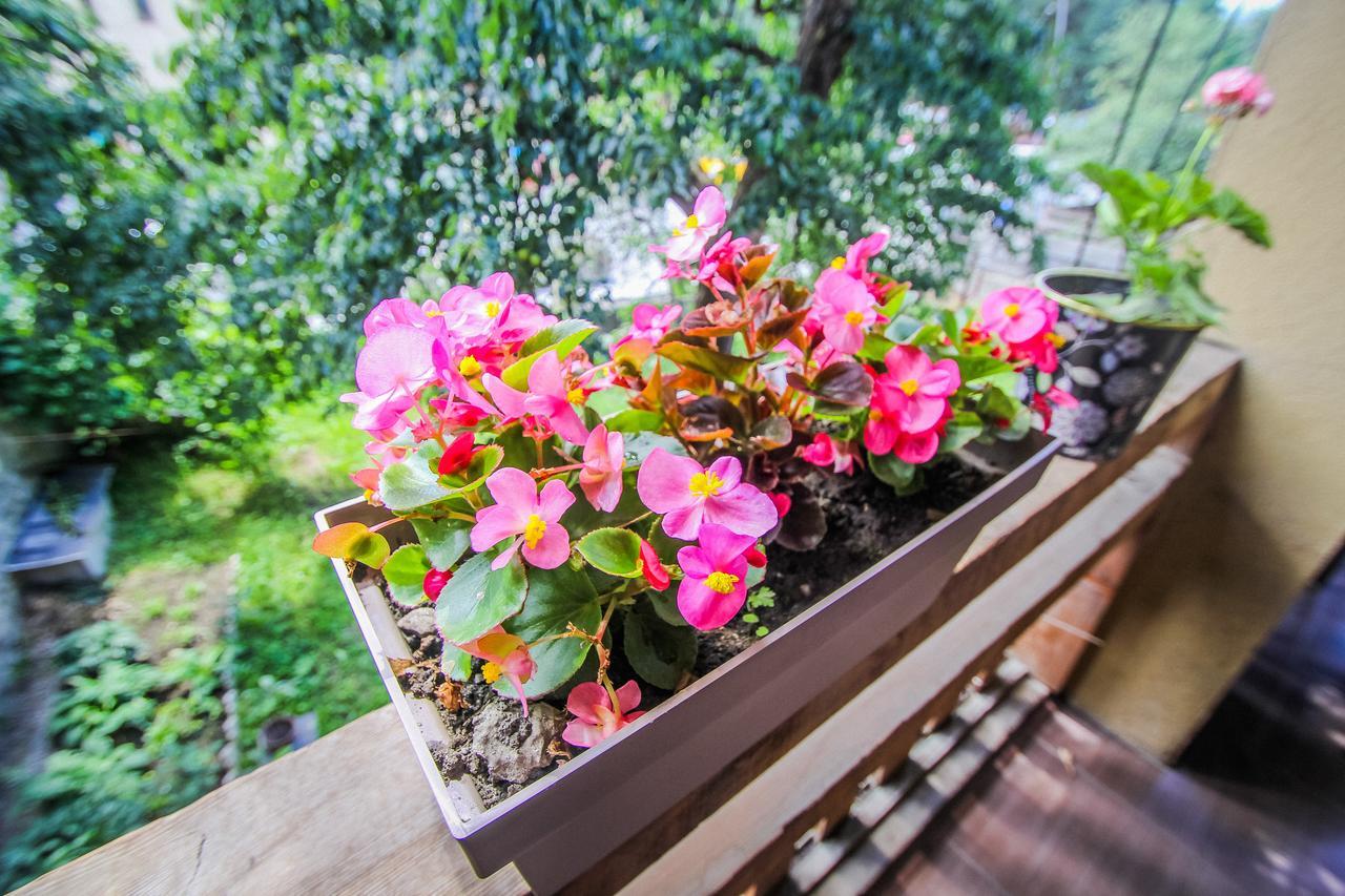 Eka&Nino Guesthouse Mestia Ngoại thất bức ảnh
